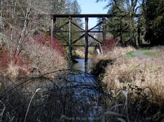 The trestle is still used by the Chelatchie Prairie Railroad