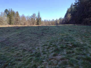 Old gold fairway that is going wild