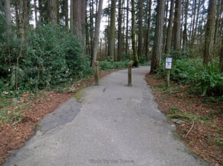 Start of the trail