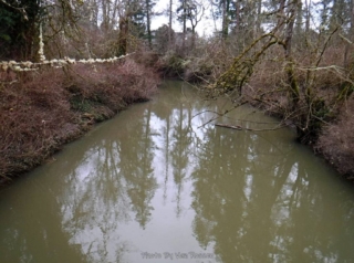 Rock Creek running high