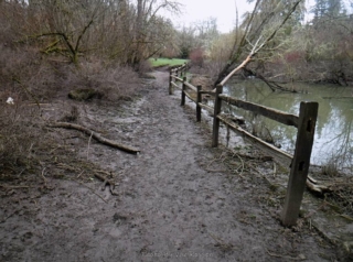 Muddy side trail to the creek