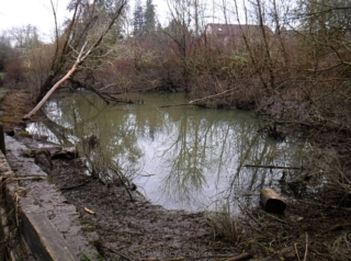 Wet season pond