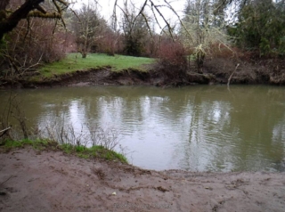 Summer you can hope the creek to get to an open area