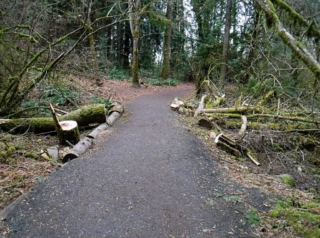 Starting on a gravel loop trail