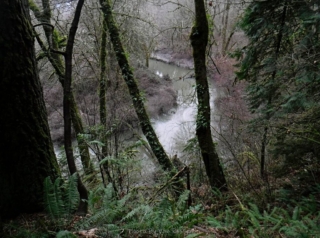 A view down at Rock Creek