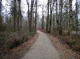 Trail by other entrance road