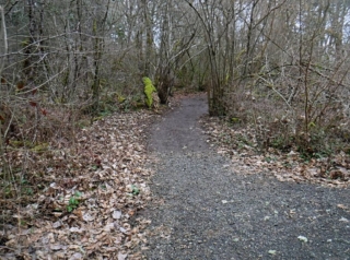 remote dire trail