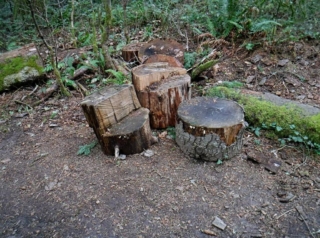 Maybe sitting stools some day