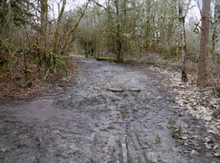 Dirt trail turns to mud