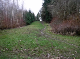 Bike trail next to the main park