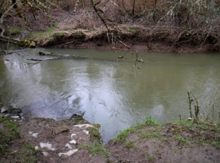 Rock Creek