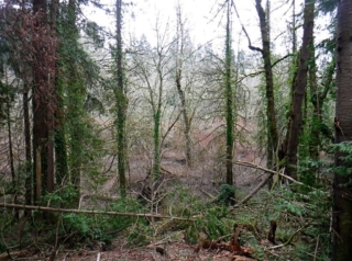 View from parking lot