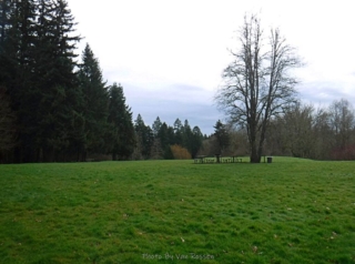 Large open area to enjoy