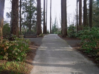 Path through the garden