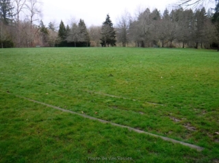 Large grass play area