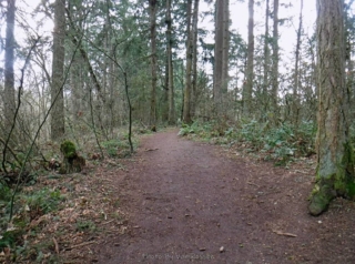 An open section of Rock Creek Trail