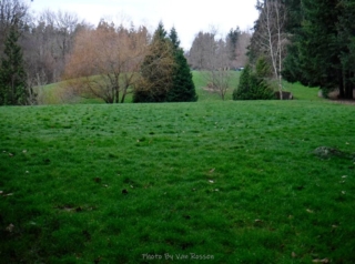Large grassy area