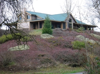 River House