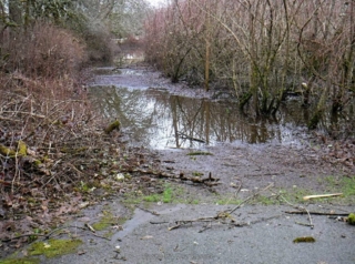 Trail mostly underwater