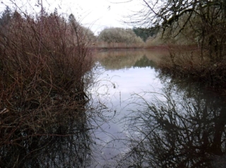 Open area now a lake