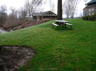 Picnic area