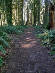 Mostly a wide dirt trail on this loop