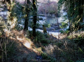 From a view point looking down at Salmon Creek
