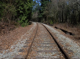 Over the railroad tracks and into a different natural area