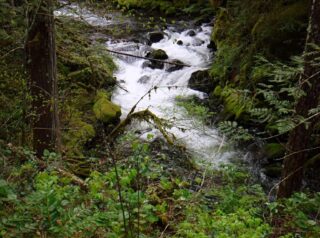 Falls Creek rushing full