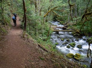 The lower trail follows close to Falls Creek
