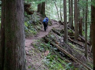 After the junction the trail gets steeper