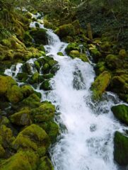 Cascading Creek