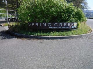 Out favorite fish hatchery