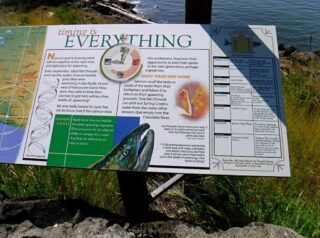 Information sign on life cycle