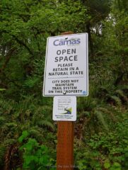 Camas took control over the area a few yeas ago