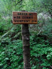 I did the Viewpoint first