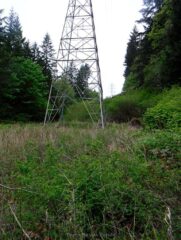 The viewpoint is under power lines