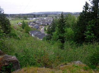 View looking back to where I parked