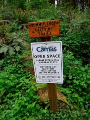 Made it to the summit loop