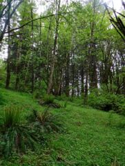 Passing by a green open area heading down