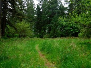 Just a few open spots along the trail