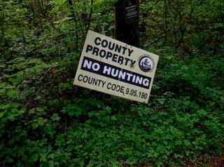 This part of the trail goes through Clark County property