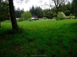 At the edge of property is some ones house in the woods