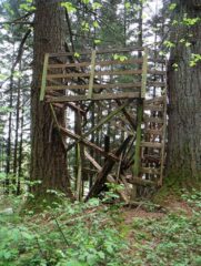 An old viewing platform is left to rout