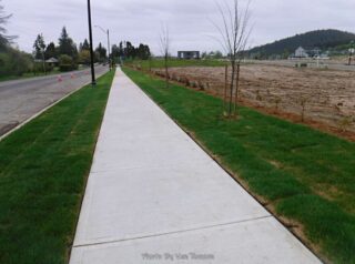 I short cut it back on new side walks