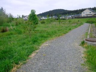 A short trail through wetland area