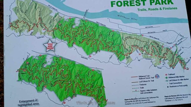 ForestPark_IMG_20260321_080100024