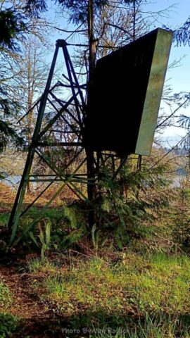 ForestPark_IMG_20260321_084322362