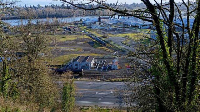 ForestPark_IMG_20260321_084646849