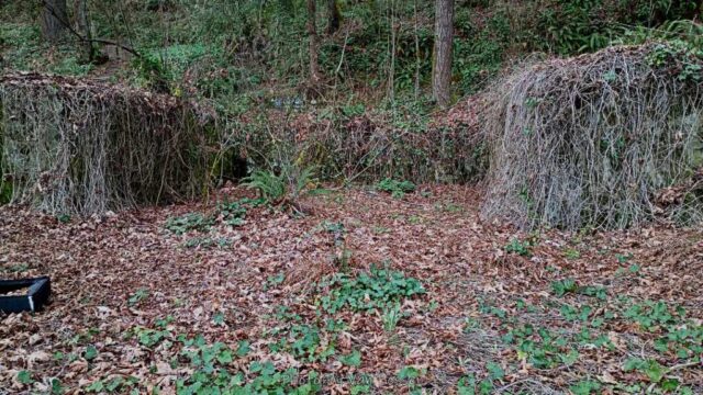 ForestPark_IMG_20260321_101432256